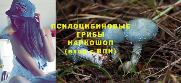 винт Армянск