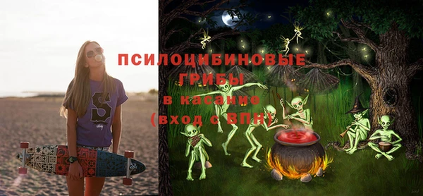 экстази Арсеньев