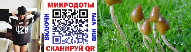 Галлюциногенные грибы ЛСД  Купить закладки  Светлый 